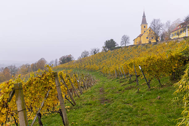 Picturesque Vineyard Landscape with Historic Church in Kapfenstein