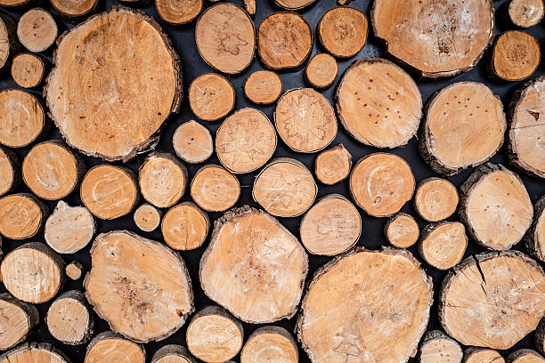 Top view of round tree slices on the table under the lights