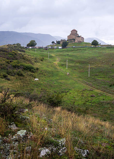 A picturesque view of the historic Jvari Monastery perched atop a hill overlooking the rolling green landscape near Mtskheta, Georgia. The ancient stone structure stands prominently against a backdrop of distant hills and a somewhat overcast sky. A few grazing animals dot the fields below, adding a touch of rural tranquility to the scene.