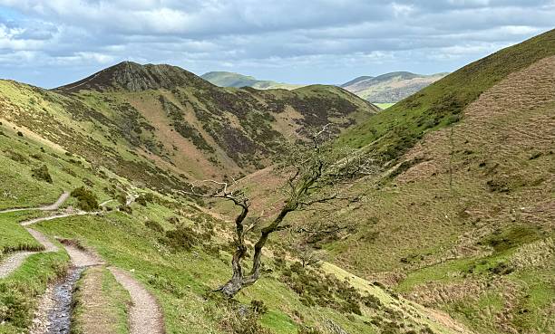 istock Townbrook Valley, Church Stretton 2213581013