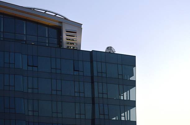 a tree on a terrace of a large modern building