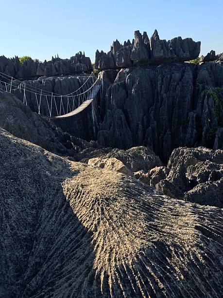 istock Madagascar Tsingy de Bemaraha rocks Stone Forest 2213586679