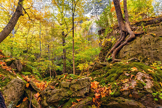 istock Niagara Glen Nature Reserve Scenic Autumn 2213588624