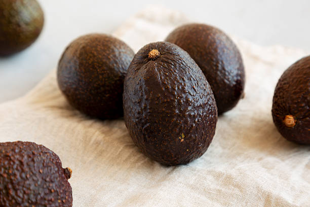 istock Raw Organic Hass Avocados on a gray background, side view. 2213595396
