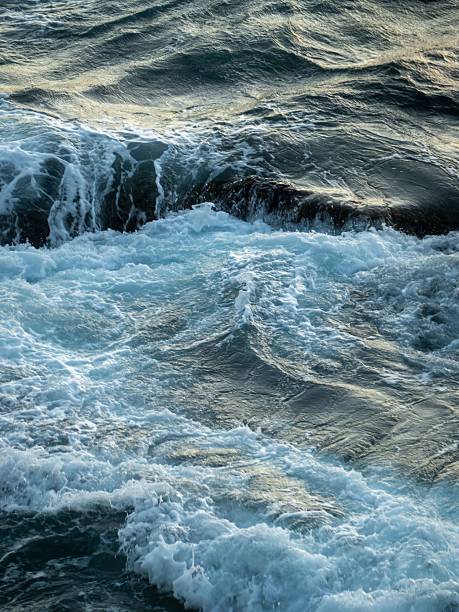 istock Ocean wave crashing with foamy surf under sunlight. 2213596740