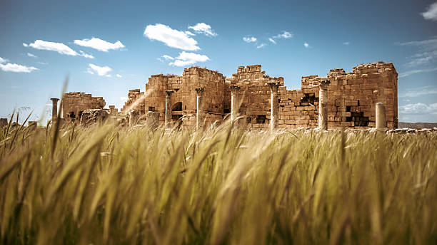the ancient city of Madaure or Madauros, the birthplace of Apuleius, the author of the Golden Ass/Metamorphosis, the only surviving novel from ancient time, and the place where Saint Augutine of Hippo studied. Immerse yourself in the rich history of Roman North Africa.