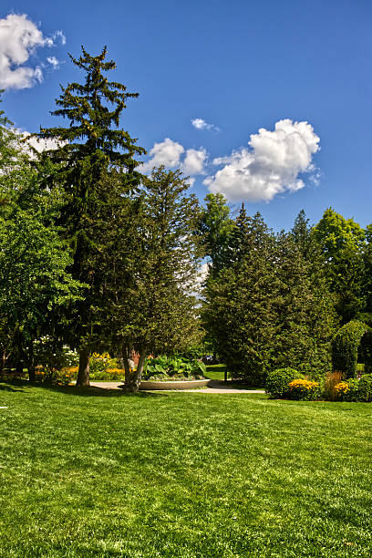 istock Bright summer day at a Toronto Park, Ontario, Canada 2213599707