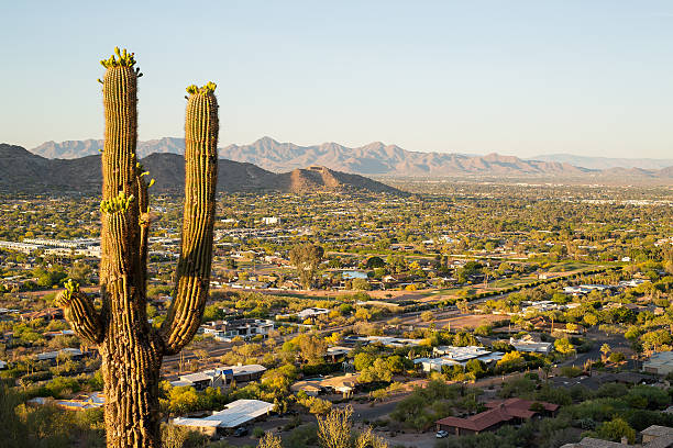 View from Echo Canyon walking trail looking out over Paradise Valley housing with Saguaro cactus in the foreground and mountain ranges in the distance