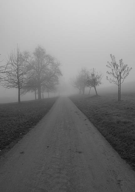 istock Path through the foggy countryside 2213605945