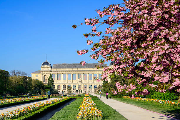 Kunsthistorisches platz art gallery in Vienna