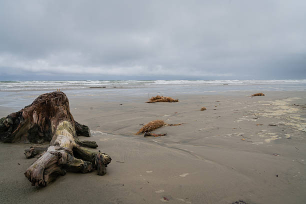 Dark overcast day at Oreti Beach, Invercargill New Zealand.
