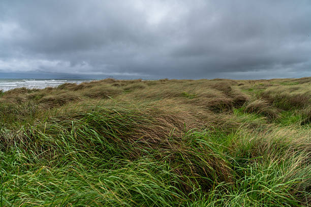 istock Dark overcast day at Oreti Beach 2213622371