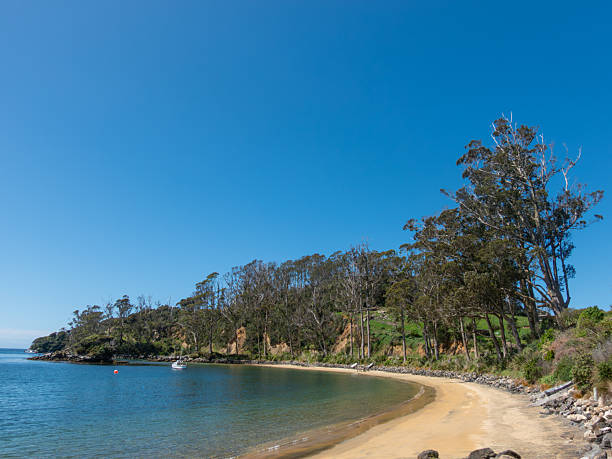 istock Scenic beach along Elgin Terrace Stewart Island 2213622759
