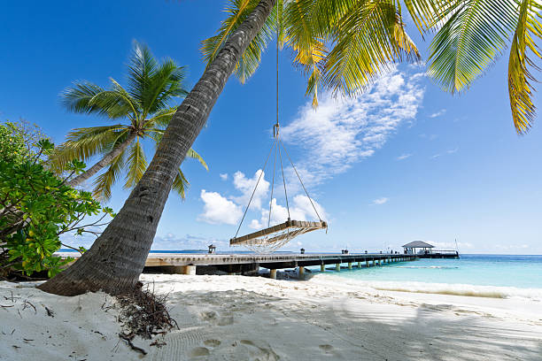 Wooden swing hanging gracefully from a palm tree on a pristine white sand beach, surrounded by the tranquil waters of the Maldives