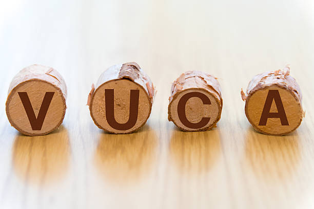 istock The word VUCA written on a log 2213626114
