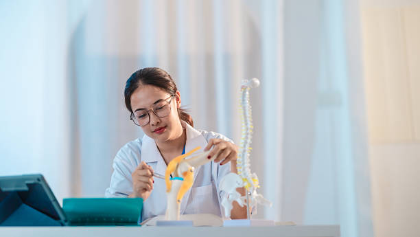 istock Asian Medical Student Studying Anatomical Model 2213635838