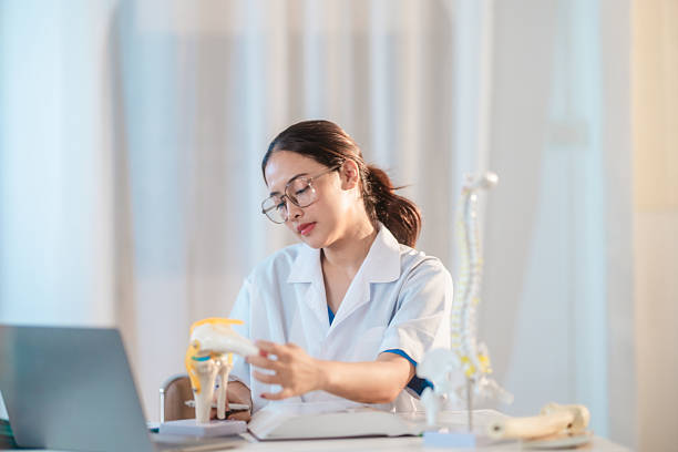 istock Asian Medical Student Studying Anatomical Model 2213636235