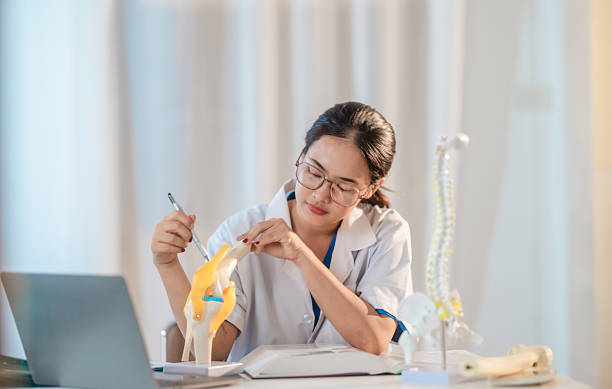 istock Asian Medical Student Studying Anatomical Model 2213636240