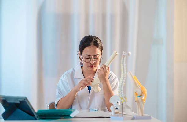 istock Asian Medical Student Studying Anatomical Model 2213637123