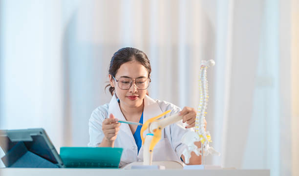 istock Asian Medical Student Studying Anatomical Model 2213637414