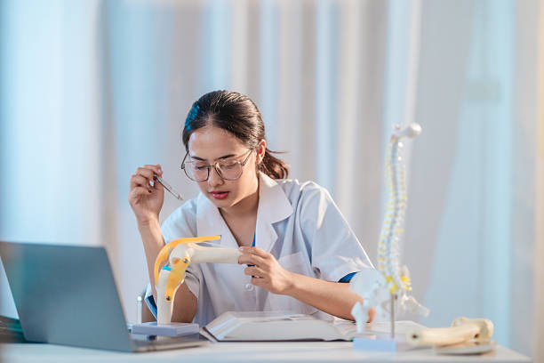 Asian Medical Student Studying Anatomical Model