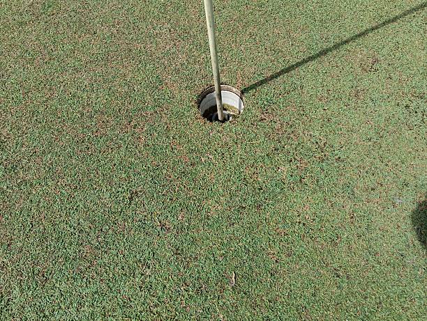 istock Golf course with putting green  grass and trees in the public park. 2213643623