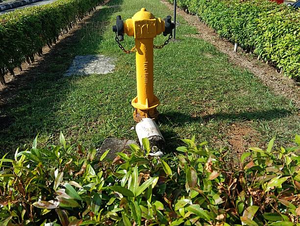 yellow fire hydrant in  a garden  close up. photo taken in  malaysia