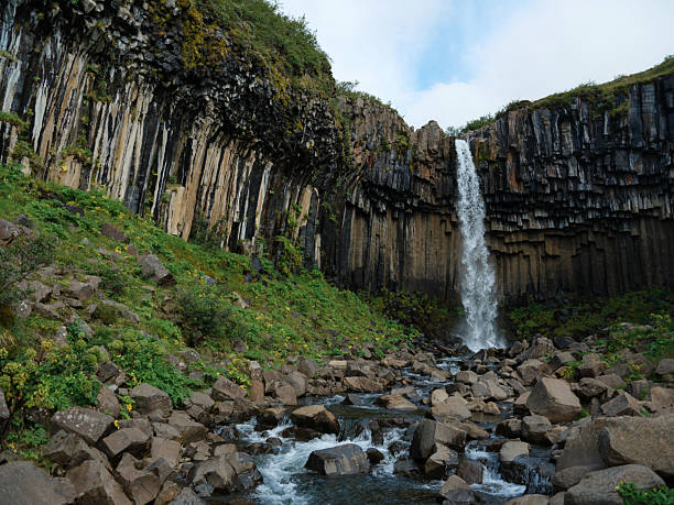 Epic view of Svartifoss waterfall framed by dark basalt columns in Iceland. A dramatic natural scene showcasing the raw power of falling water and the unique geometric beauty of volcanic rock formations.