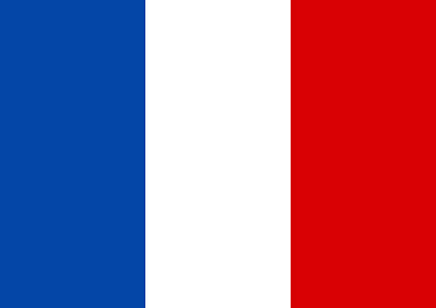 istock Flag of France vector 2213649797