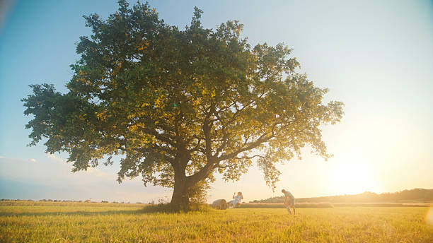 istock Father Pushing Daughter on Swing Under Oak Tree at Sunset 2213654245