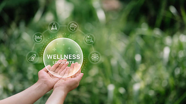 istock Virtual wellness elements hovering over hands in nature. Holistic health concept 2213655183