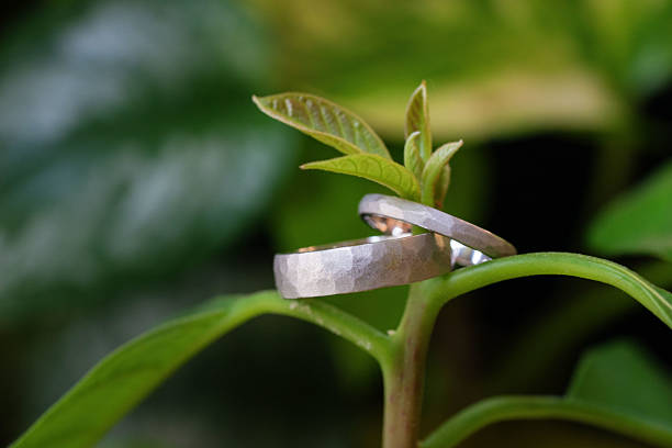 A pair of silver wedding rings with a hammered finish is delicately placed on the stem of a young green plant. The close-up image highlights the symbolic connection between love and nature, set against a lush, blurred green background.