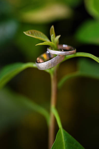 A pair of silver wedding rings with a hammered finish is delicately placed on the stem of a young green plant. The close-up image highlights the symbolic connection between love and nature, set against a lush, blurred green background.