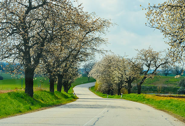 Countryside landscape of rural road and trees and plains along highway during Spring in Austria