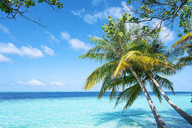 istock Tropical paradise beach scene for background or wallpaper 2213662271