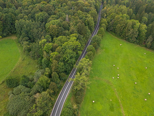 istock Winding road through lush green forests and fields in a rural landscape during daylight hours 2213664307