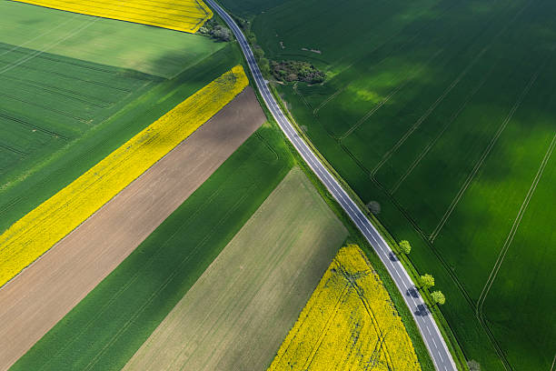 istock Vibrant fields and winding road create a stunning rural landscape in springtime abundance 2213664480