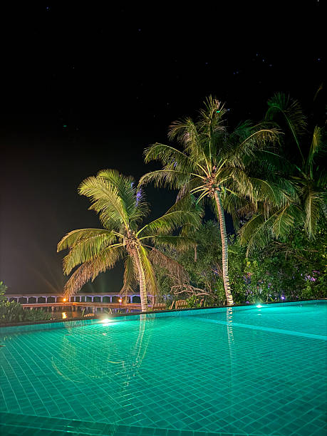 Willemstad. Curacao. 02.18.2024. Gorgeous nighttime scene of hotel premises featuring pool, bar, and palm trees reflecting in water.