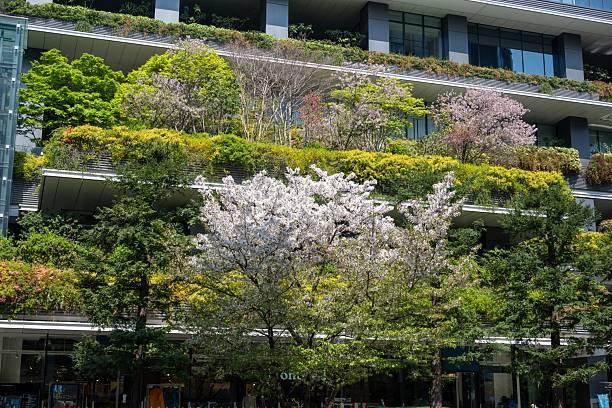istock Urban building with lush vertical garden and cherry blossoms. 2213669038