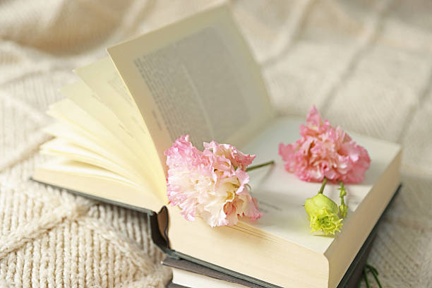 istock Open book with beautiful flowers on blanket, closeup 2213672869