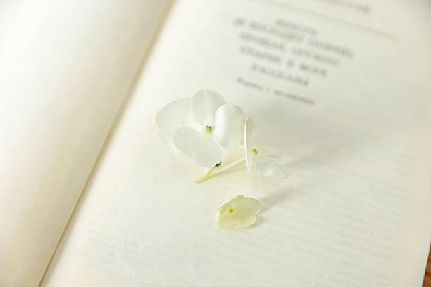Beautiful flower buds on open book, closeup
