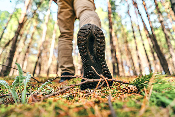istock Men's footstep in the forest 2213675325