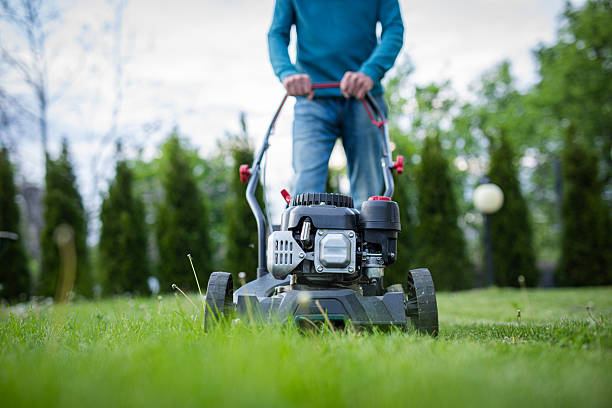 istock Senior man mowing the grass in the backyard 2213675899