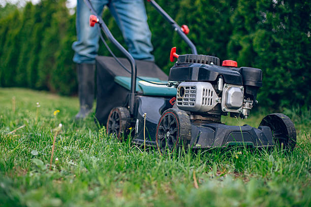 Funny conceptual image of a gardener pulled away by an out-of-control lawn mower. Isolated on white.
