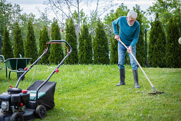 istock Senior man using a lawn mower in his back yard 2213676848