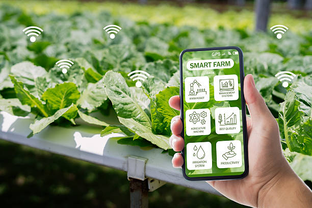 istock Modern Smartphone in Hand with Smart Farming Technology Displayed 2213677895