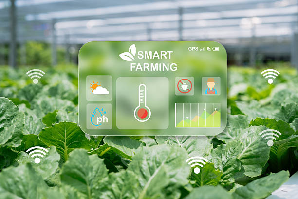 istock Smart Farming Technology Showcase in a Lush Greenhouse Environment 2213677899