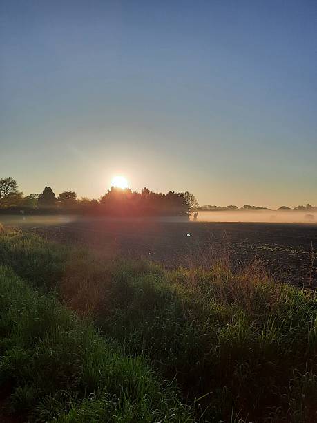 istock The sun rises over a field 2213678682