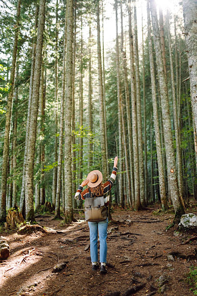 istock A female hiker with a backpack and wearing a hat walks along a lush forest path. 2213681240