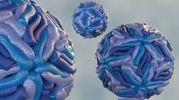 A 3D rendering of spherical dengue virus particles, with intricate surface with numerous convoluted ridges. A mature form of virus.